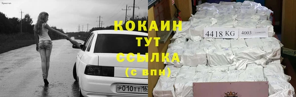 гидра Осинники