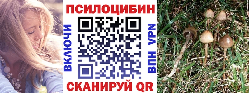 Псилоцибиновые грибы MAGIC MUSHROOMS  Киреевск 